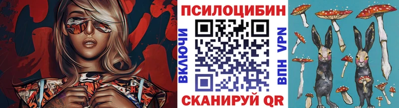 Купить  Дзержинский  Псилоцибиновые грибы мухоморы 